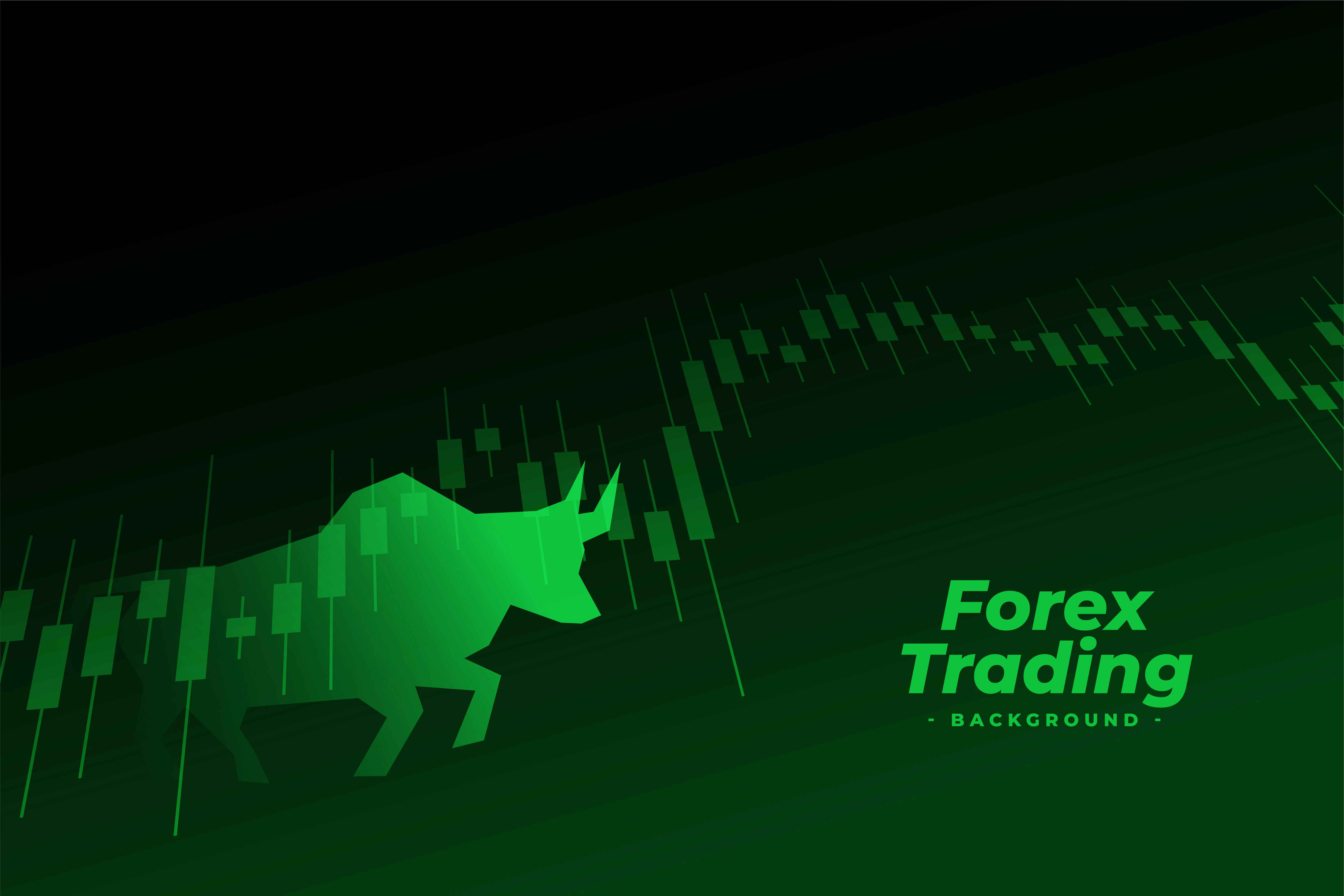 Top 7 Forex Terms Every Trader Should Know